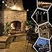 Enbrighten Classic Warm White String Lights, 48ft Black Cord, 24 Shatterproof Acrylic Bulbs, Weatherproof, Outdoor String Lights, 31664