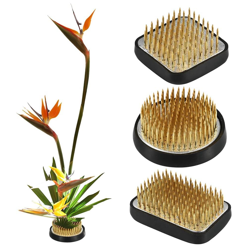 3 Giapponesi per Composizioni Floreali, Kit Kenzan JP Accessori di Ricambio per Composizioni Floreali