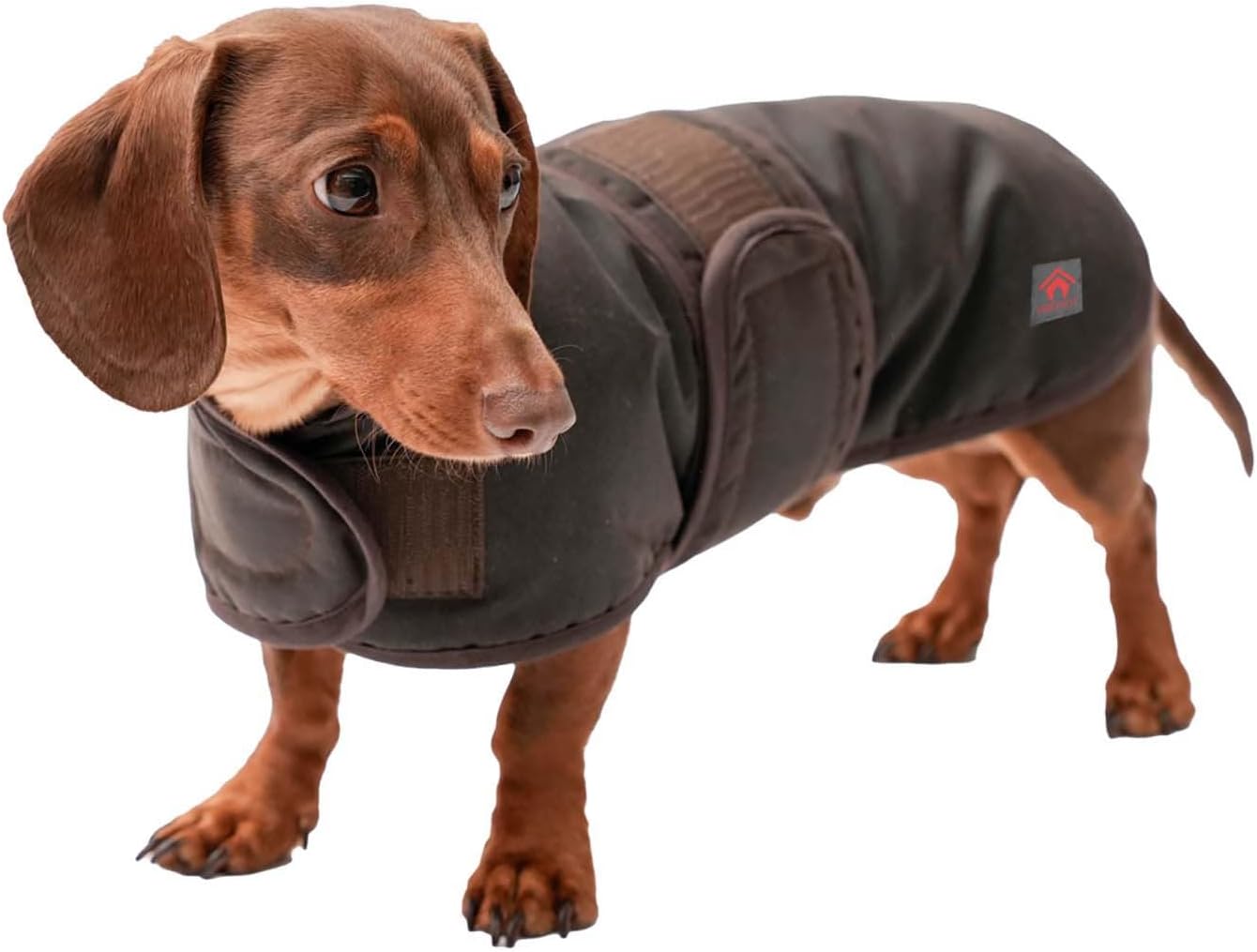 Firefoot] (ファイヤーフット) ワンちゃん用 ダックスフント ワックス