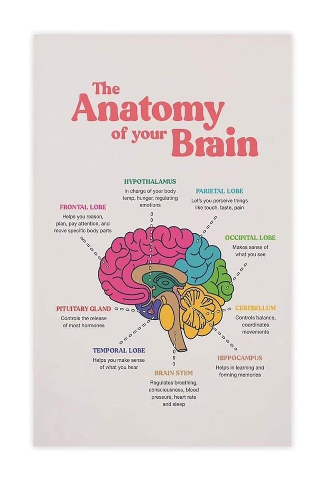 FNYUVNFAF Psychology Poster Brain Anatomy for Mental Health Awareness Educational Canvas Art for Room Unframed,16x24inch(40x60cm)