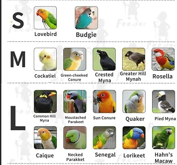 Bird Flight Suits Diapers, Parrot Flight Suits Diapers for Monk Parakeets, Cockatiels Flight Suits, Parrot Clothes, Bird Training Nappy Suit Liners Clothes (Small,Black)