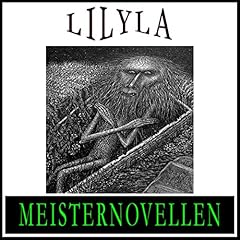 Meisternovellen 26 Audiolibro Por div. arte de portada