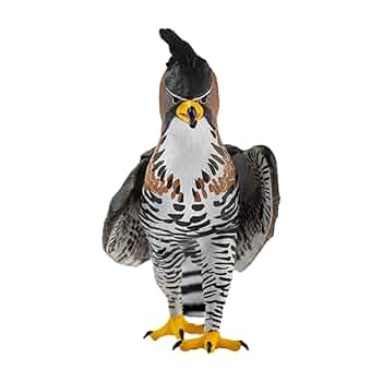 年代物 6.7kgの鷹さん(鷲さん)antique hawk or eagle 年代物 6.7kgの鷹さん(鷲さん)antique hawk or eagle 変化可能な