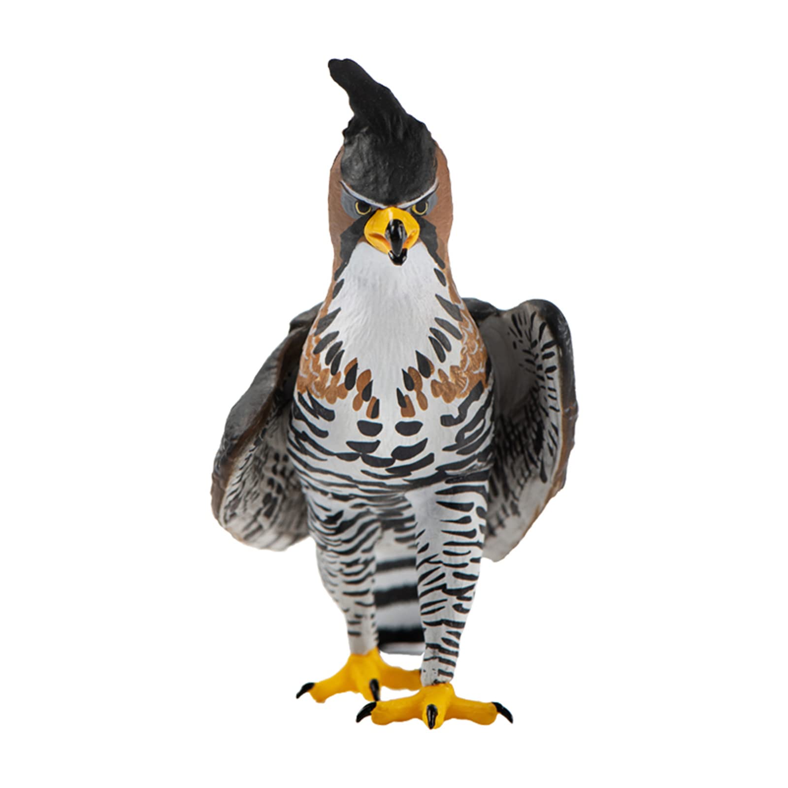 年代物 6.7kgの鷹さん(鷲さん)antique hawk or eagle Amazon | NATURALISM 鷲 鷹 鵰 タカ目 タカ科 鳥 野生動物