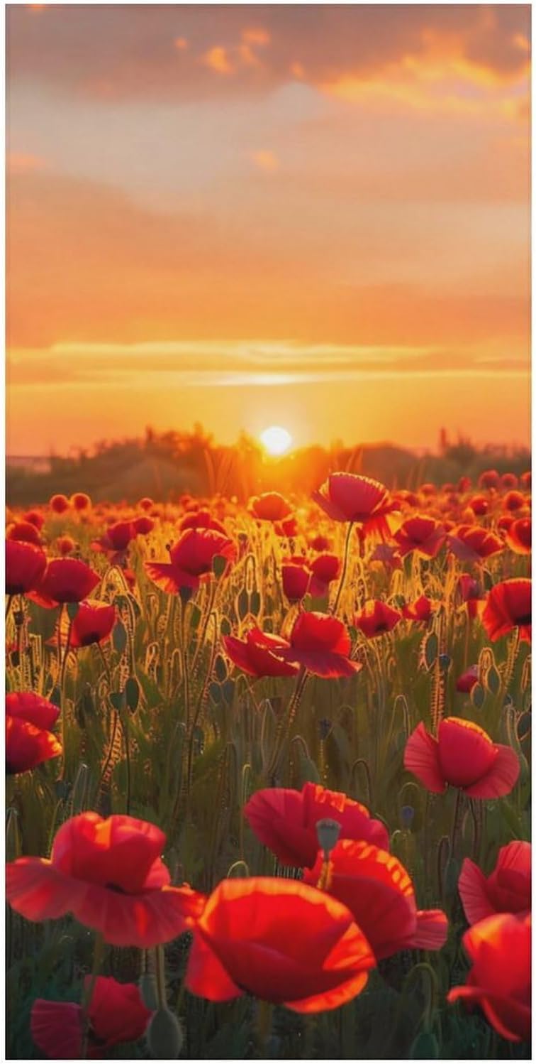 Poppy Field at Sunset Bath Towel Beach Towels Quick Dry Oversized Bath Blanket Highly Absorbent Towel for Women Men 160x80cm