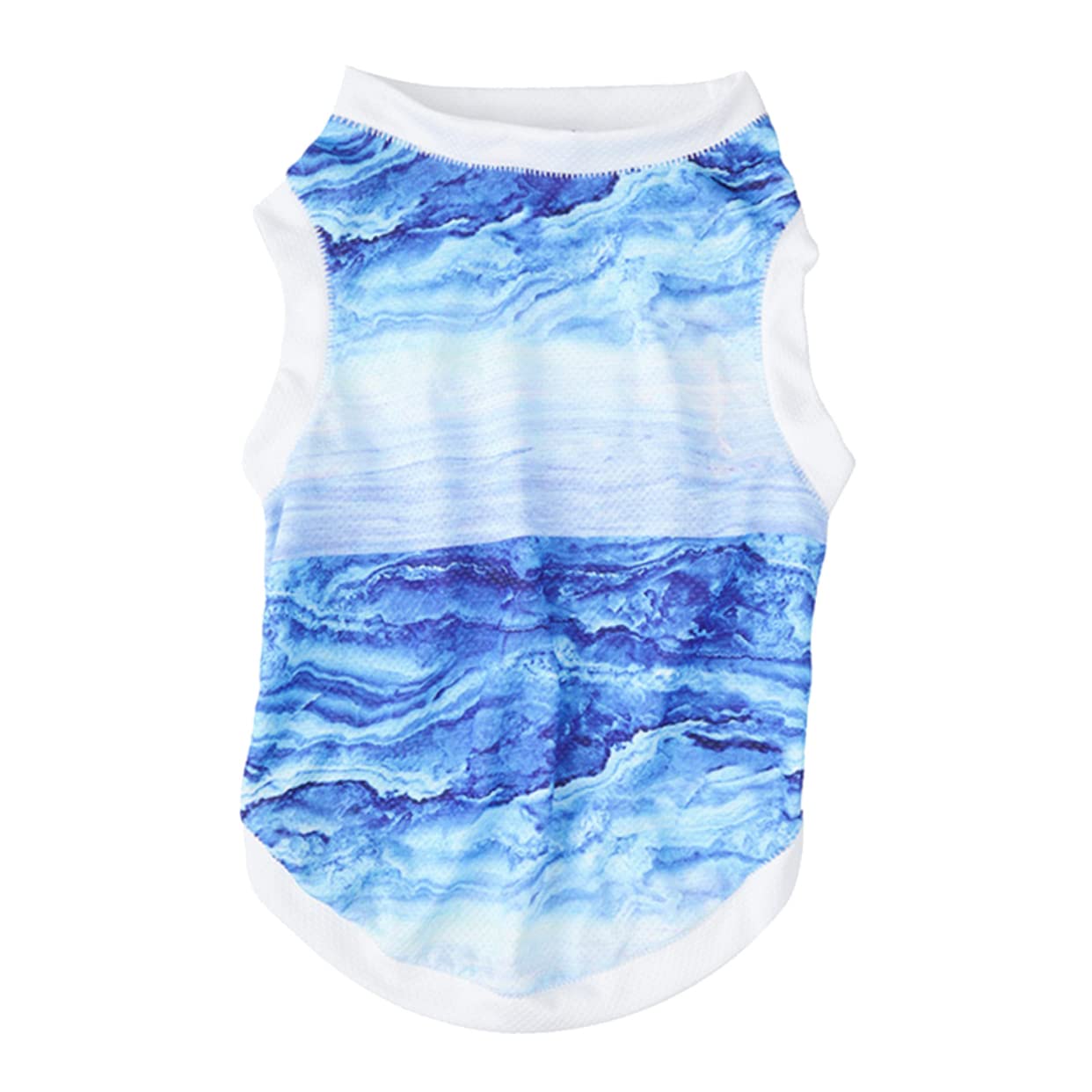 BESPORTBLE 3pezzi Gilet Rinfrescante Per e Traspirante Per Facile Usare e Riutilizzabile Blu