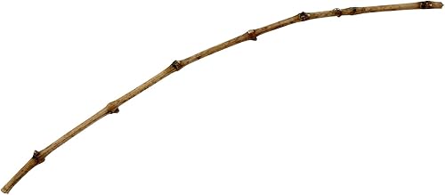 Corte de vid de uva Cabernet Sauvignon Clon 1 (100)