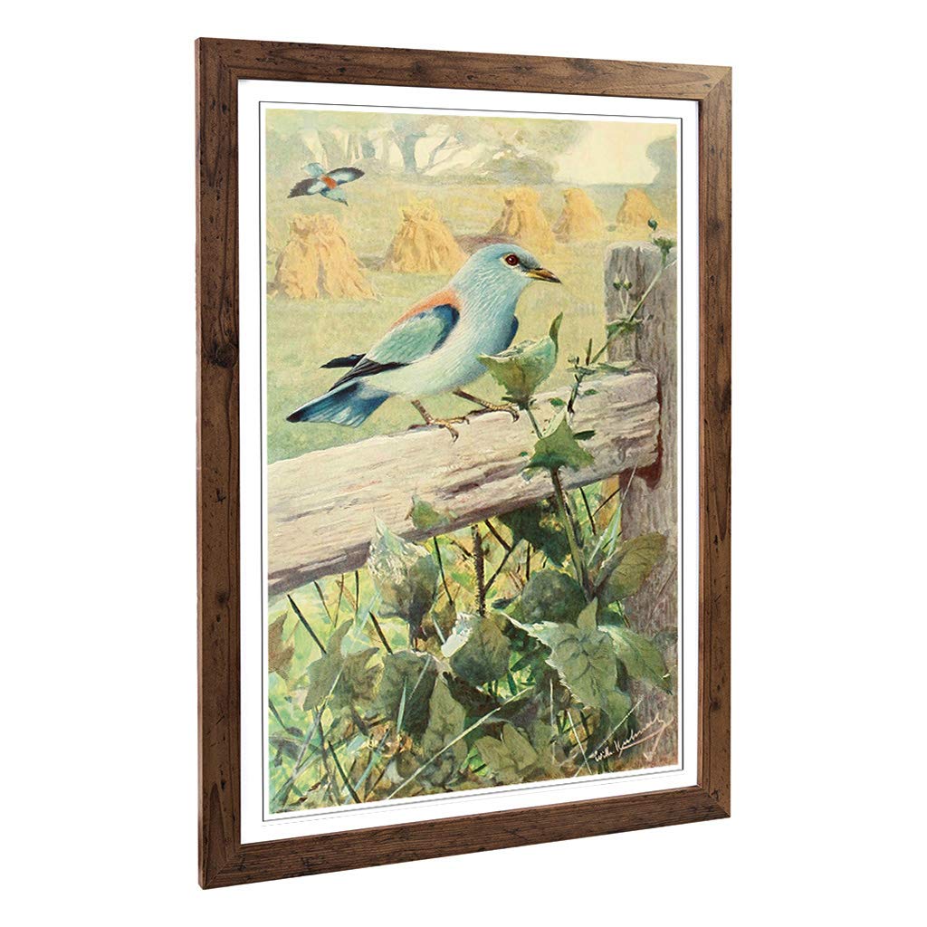 Big Box Art Framed Print of Vintage W Kuhnert European Roller Design | Wall Art Picture | Home Decor for Kitchen, Living Room, Bedroom, Hallway, Walnut, A2 / 24.5x18 Inch / 62x45cm