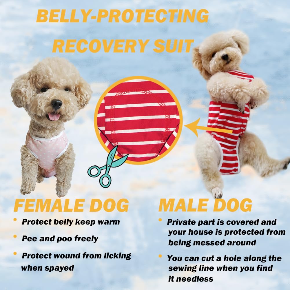 Curated visual reference: Fresh Look at Snapklik Com Dog Surgical Recovery Suit Spay Recovery Suit For