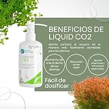 Ver la foto 5