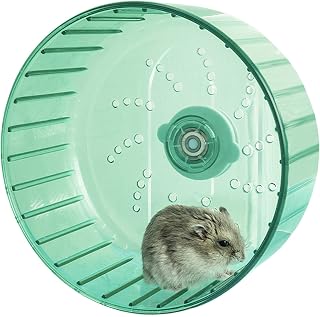 BNOSDM Hamster Wheel for Cage 6.3in Silent Spinner Gerbil Wheel Quiet Exercise Running Wheel for Dwarf Syrian Hamsters Mice Small Animals