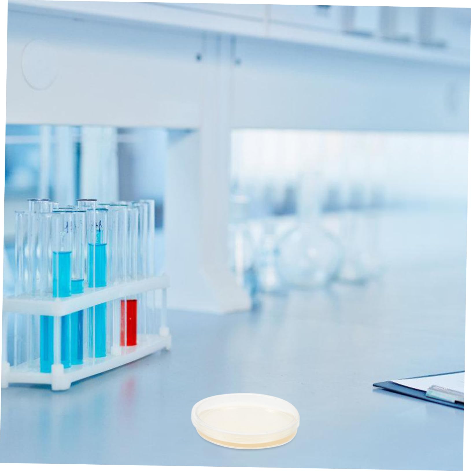 SOESFOUFU 10pcs Nutrient Agar Plate Kit Plant Prepoured Agar Plates Biology Petri Dish Lab Plate Stuff Toy Tissue Culture Agar Plates Prepoured Petri Plates Cell Flat Flamel Mold Child Suite