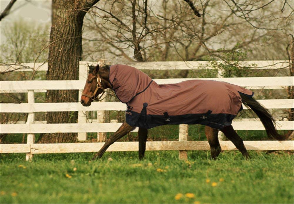Couverture de protection cheval 1680D d'une résistance supérieure contre le vent