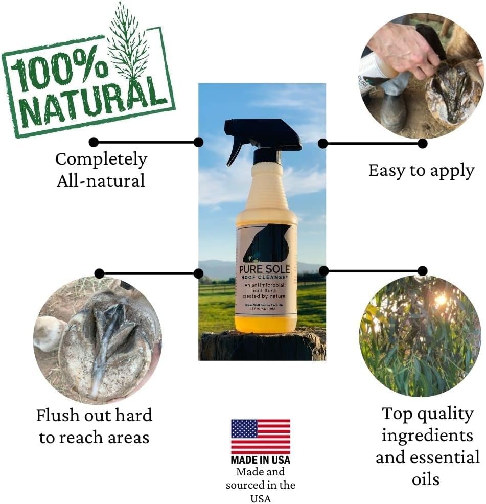 Horse Hoof Cleaner | Thrush Treatment for Horses - All Natural Hoof Cleanse, Use for White Line, Abscess Treatment, Cracks, and Hoof Wall Separation - 32 oz Refill - image 3