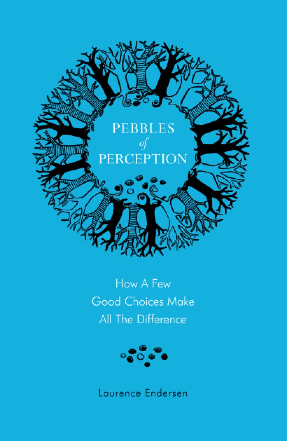 Pebbles of Perception: How a Few Good Choices make All the Difference