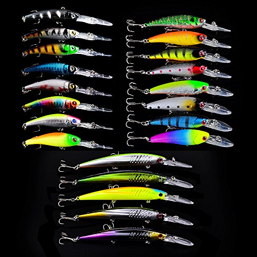 CHSEEO Kit di Esche da Pesca, 21PCS Artificiale