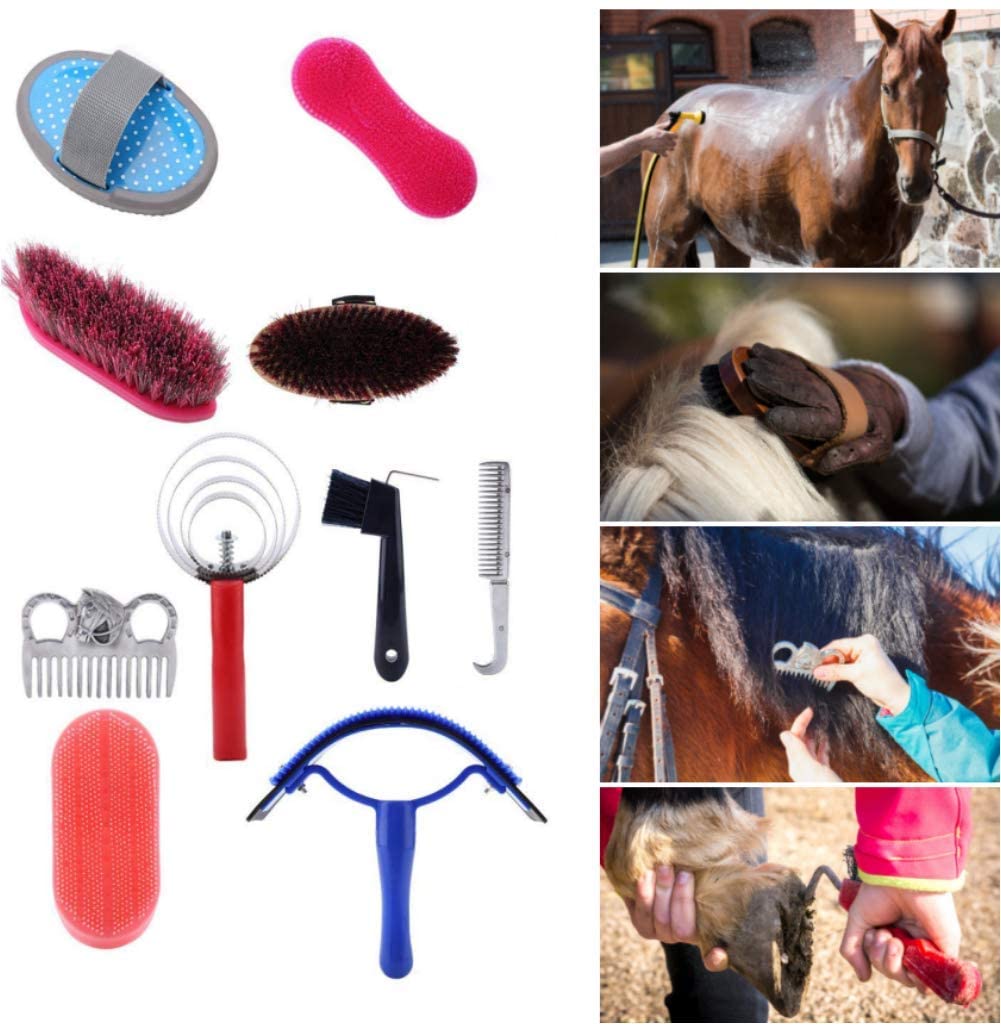 Pssopp 10 Unids Juego de Cepillos de Caballo Juego de Cuidado de Aseo de Caballos Equestrain Brush Curry Comb Juego de Herramientas de Limpieza de Caballos