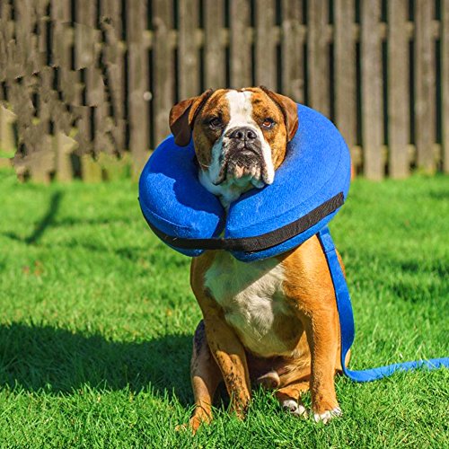 Evursua Protective Inflatable Collar for Dogs and Cats,Recovery Pet Cone E-Collar, Soft,Adjustable, Anti-Bite