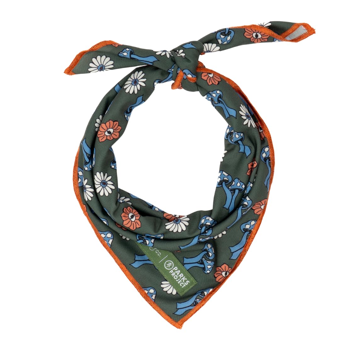 Lucy & Co. x Parks Project Power to the Parks Dog Bandana, Cute Pet Bandana for Dogs, Soft & Adjustable Neck Tie, Small