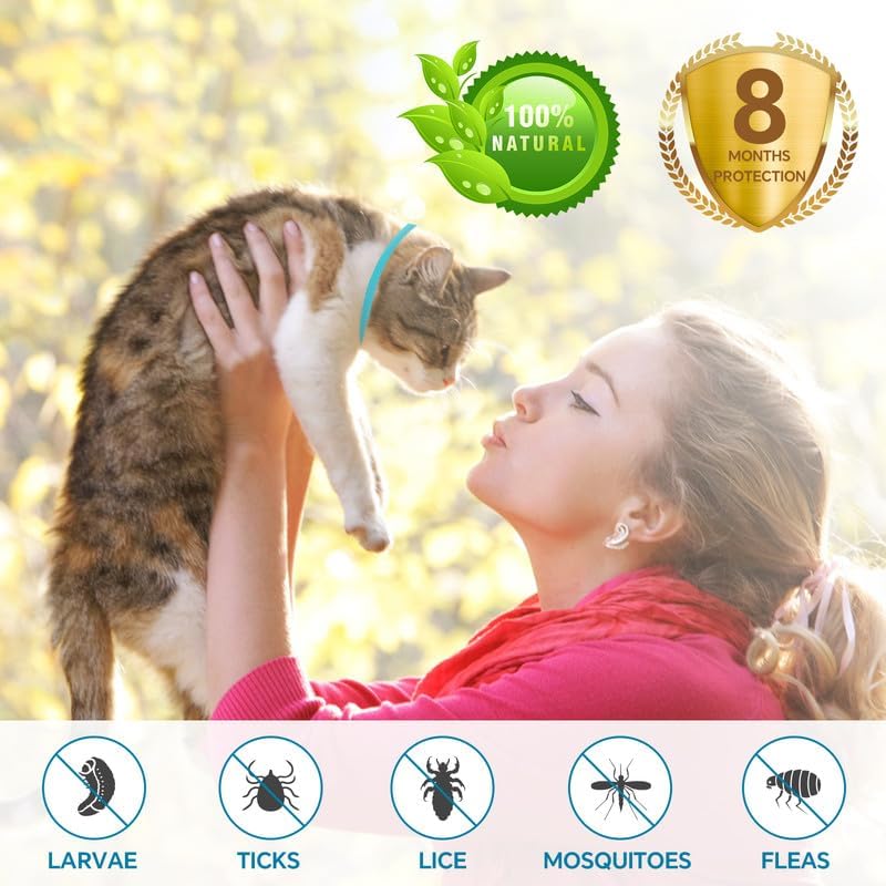 Flea Collar for Cats, Cat Flea Collars, Cat Flea and Tick Collar, Adjustable Luminous Flea Treatment Cat with 8 Months Protection, Waterproof Cat Flea Collar for Kitten Large Cats Light Blue-2Pcs