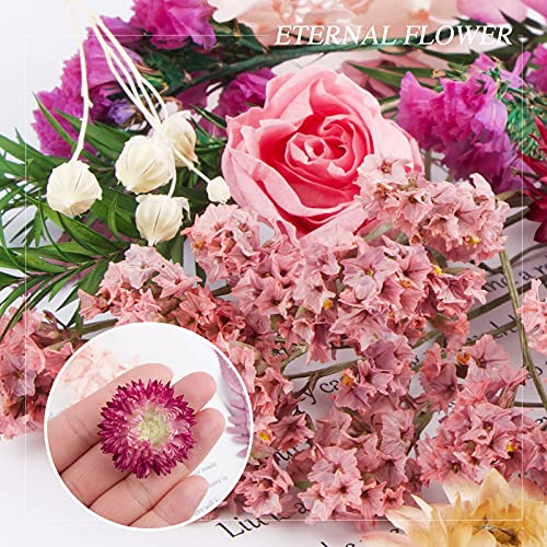 UFLF Fiori Secchi Naturali Fiori Pressati Set