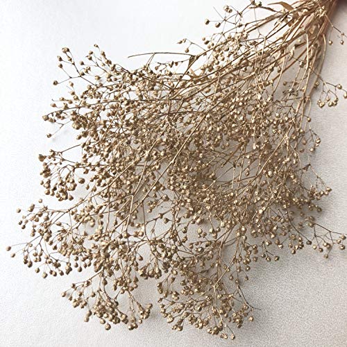 プリザーブドフラワー ミニカスミ草　ゴールド【オリジナルステッカー付き】 - 花材ショップmomo - 商品画像