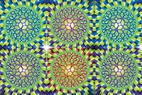 Illusions optiques 2896701648 Book Cover