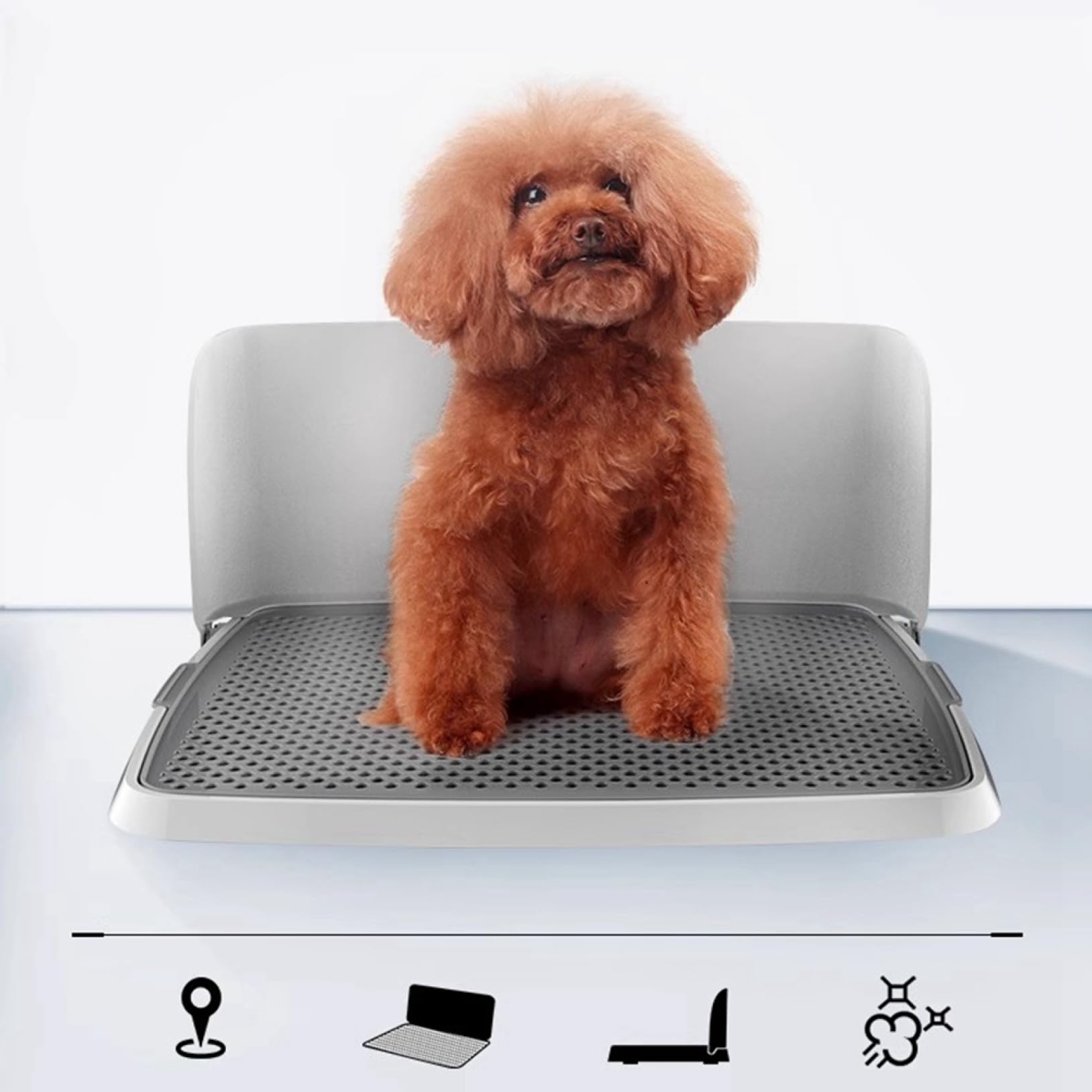 Amazon | 犬 トイレ 犬 トイレトレー ペット 犬用トイレ（42cm×70cm