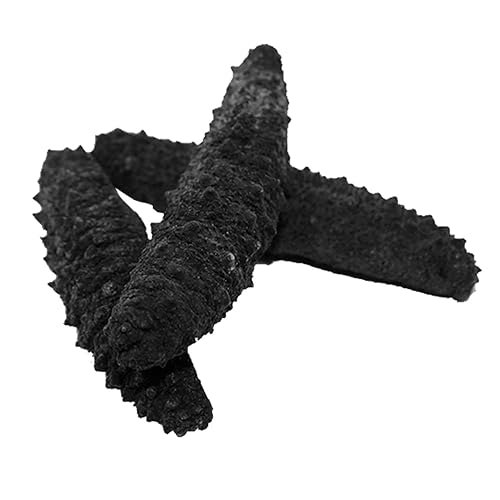 Vista 11 de DOL Wild Caught, pasador negro atlántico secado al sol, pepino de mar, 120-150 unidades, 3-4 años, totalmente natural, nutritivo, (pequeño, 1 libra)