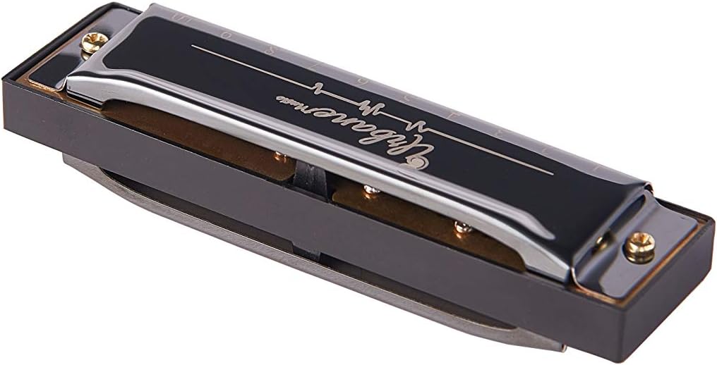 Harmonica 10 Holes 20 Tunes Mouth Organ Blues Deluxe Harmonica, Key of C for Beginner, Adults, Kids Gift, Black : Musical Instruments
