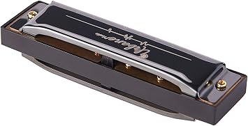 Harmonica 10 Holes 20 Tunes Mouth Organ Blues Deluxe Harmonica, Key of C for Beginner, Adults, Kids Gift, Black
