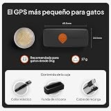 Ver la foto 7