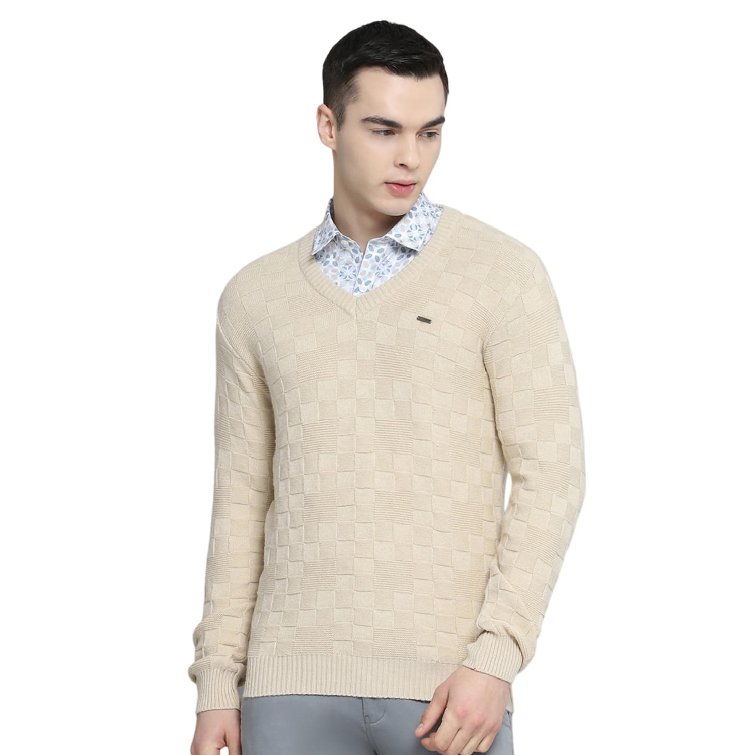 cloak & decker Mens Self Design Beige V Neck Full Sleeve Pullover_6240617731-5-picture-43