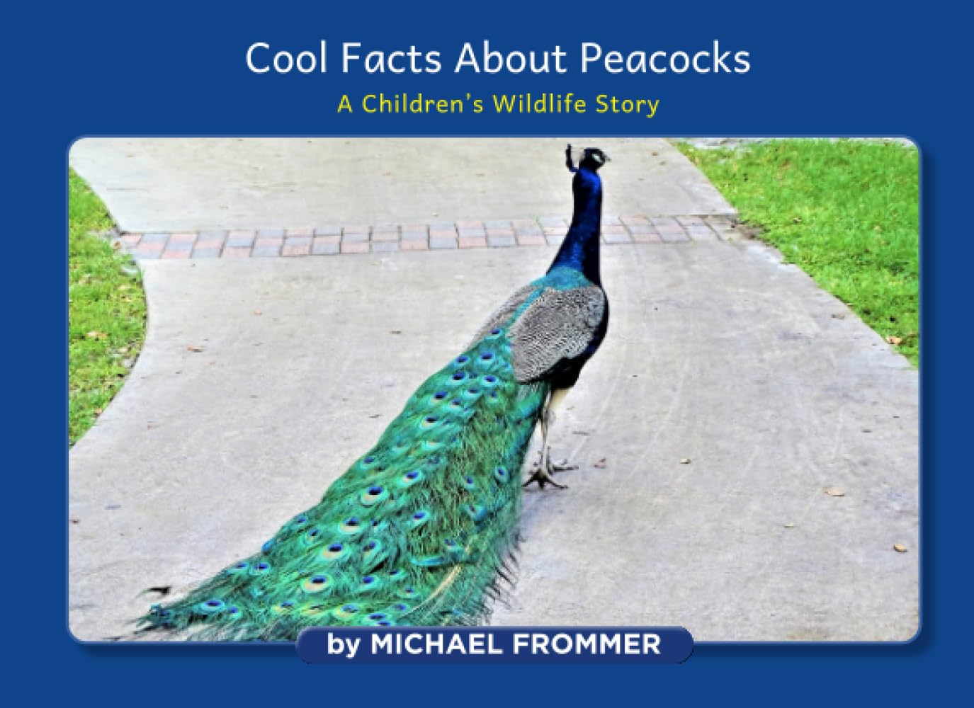 Cool Facts About Peacocks: A Children's Wildlife Story