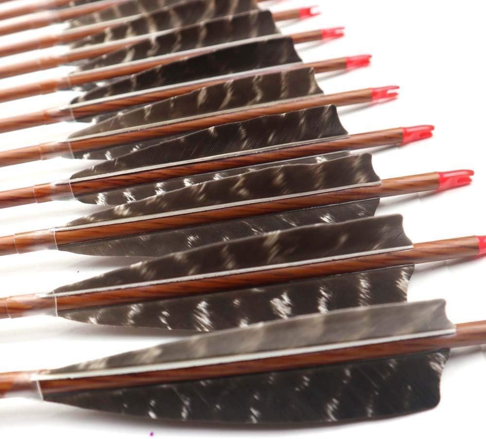 32" Carbon Arrows 600 Spine Wood-Like Arrow with 5" Real Feather Fletchings Removable Field Tips for Archery Target Practice Hunting Compound Recurve Bow Longbow 6 Pack