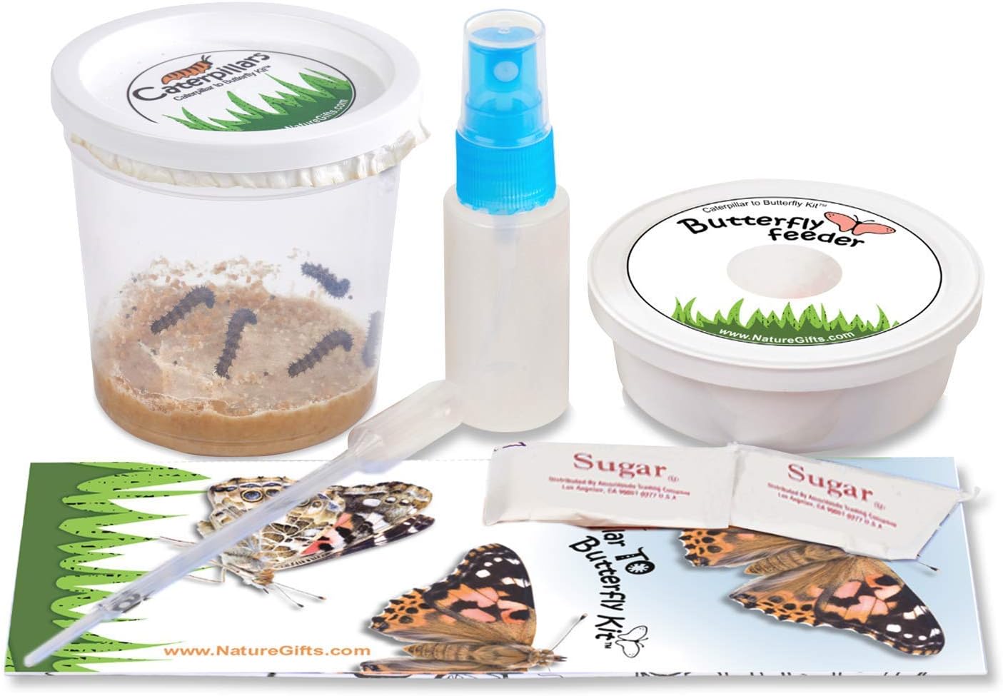 5 Live Caterpillars Shipped Now Butterfly Kit Refill Toys & Games