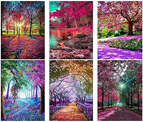5D Diamond Painting Set für Erwachsene - 6 Pack Landschaft Diamant Malerei Kits Full Groß DIY Stickerei Malerei Kunst Craft Cover