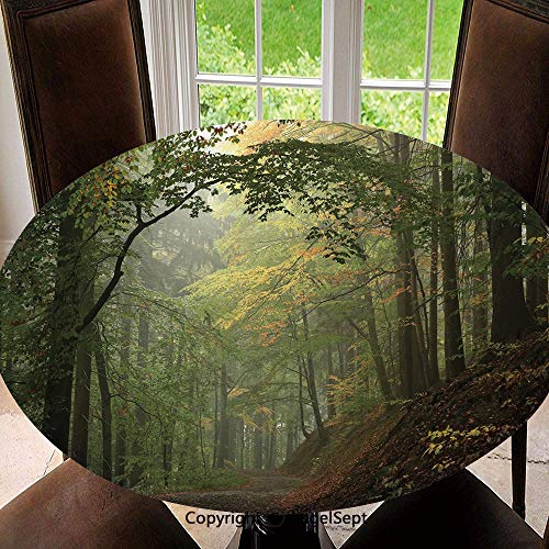 EBOND Il Commissario Montalbano: Tocco D'artista Vol.6 DVD Editoriale