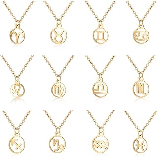 Nice and PracticalStainless Steel Aquarius Pisces Aries Taures Gemini Cancer Leo Virgo Libra Scorpio Sagittarius Zodiac Necklace Constellation BFF