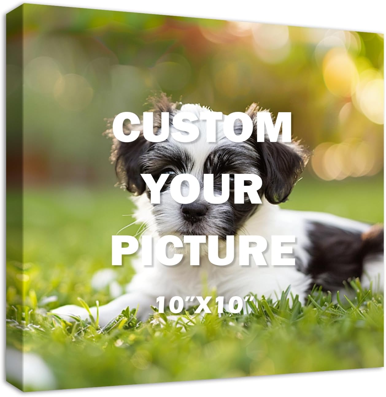 YYYYHPP Canvas Prints with Your Photos, Personalized Photo to Canvas Wall Art,Canvas Printing for Wedding, Family, Baby, Pets, Home Office Decor, Wrapped Frame 10"x10"