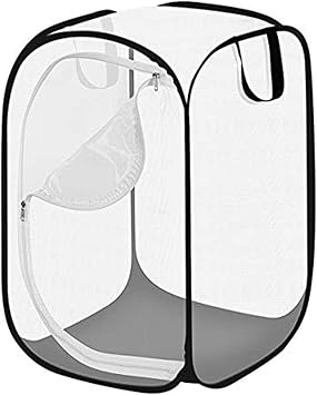 Amazon 蝶 昆虫 植物観察ケース 飼育ケース 虫かご 特大 むしかご 昆虫飼育箱 昆虫ケース 虫取り網 昆虫ネット 折りたたみ式 昆虫採集 昆虫観察 楽しい メッシュ 通気性がよい 透明 Itomte 飼育ケース アクセサリー 通販