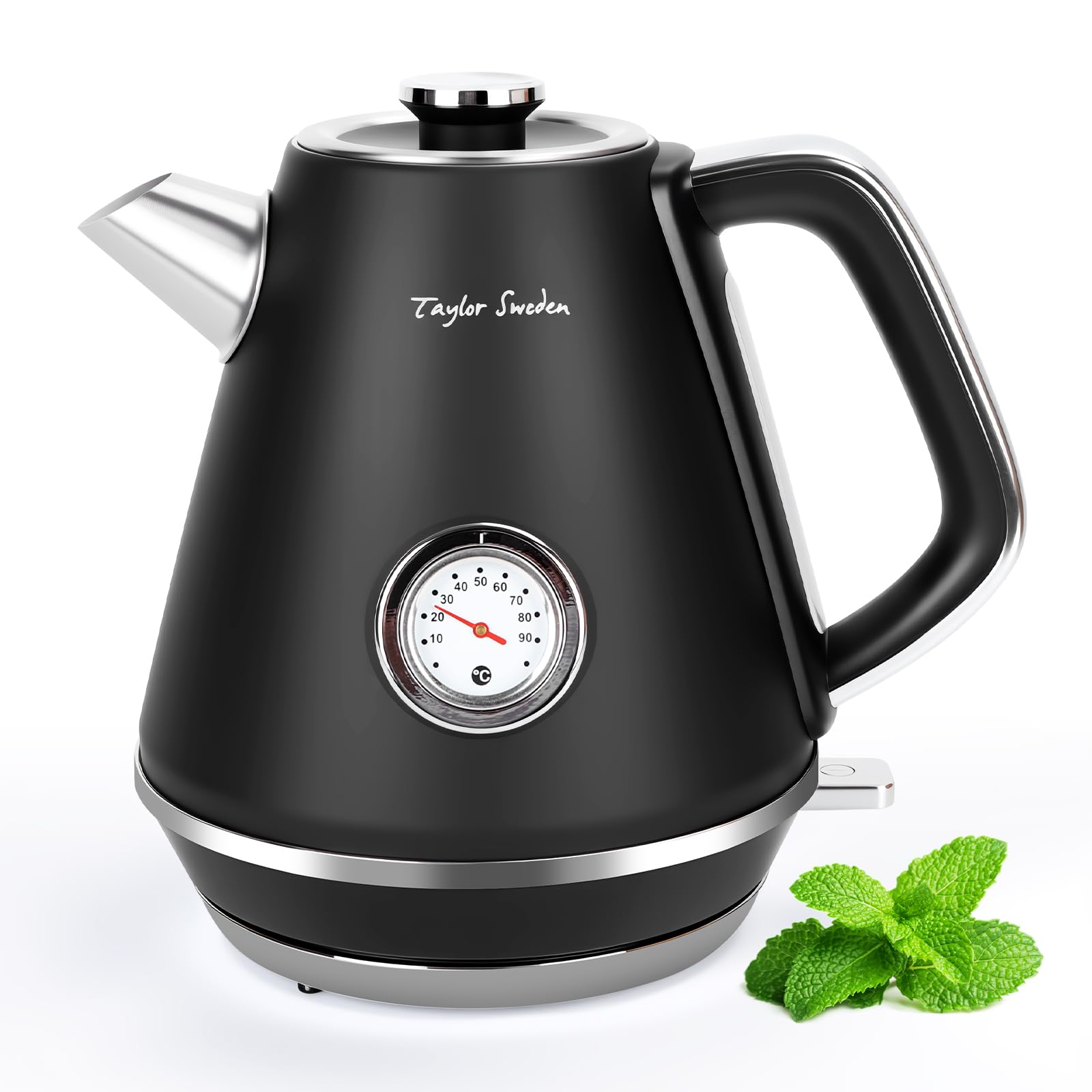 Taylor Swoden Aladin - Wasserkocher Edelstahl 1,7l, Retro elektrischer Wasserkocher mit Kalkfilter 2200w, Wasserstandsanzeige beleuchtet, Temperaturanzeigekessel, Abschaltautomatik