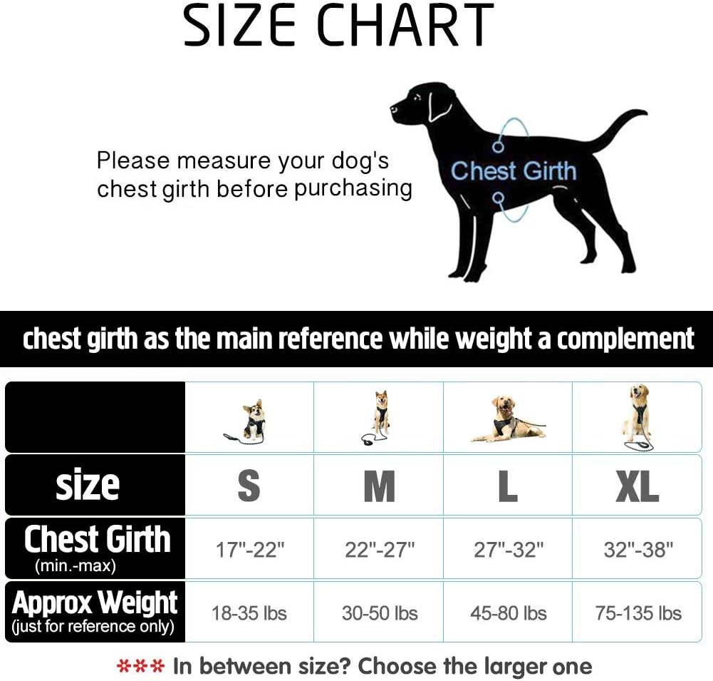 Raining Pet No Pull XL Dog Harness Dog Leash Set, Dog Vest Extra Large Dog Harness Large Breed