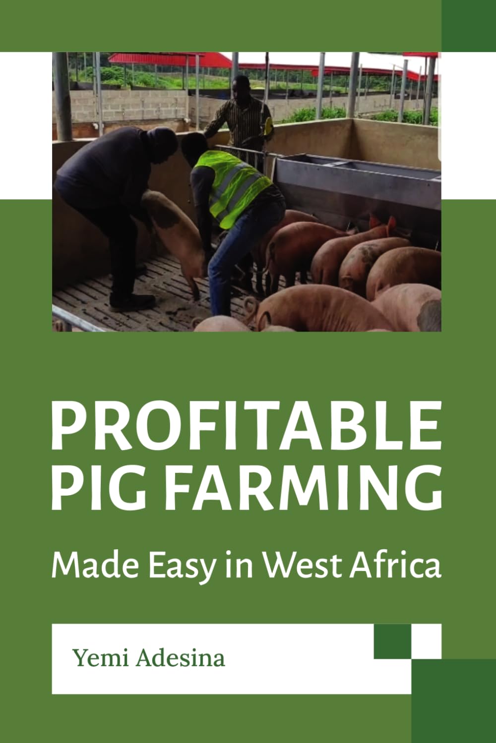 Profitable Pig Farming Made Easy in West Africa