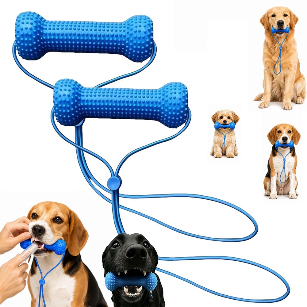 2PCS Dual-Action Canine Dental Prop,Dog Dental Chew Toy and Teeth Brushing Aid,Pet Oral Care,Teeth Cleaning Tools,ReusableDental Chews & Mouth Opener for Small Medium Large Dogs, Easier Brushing
