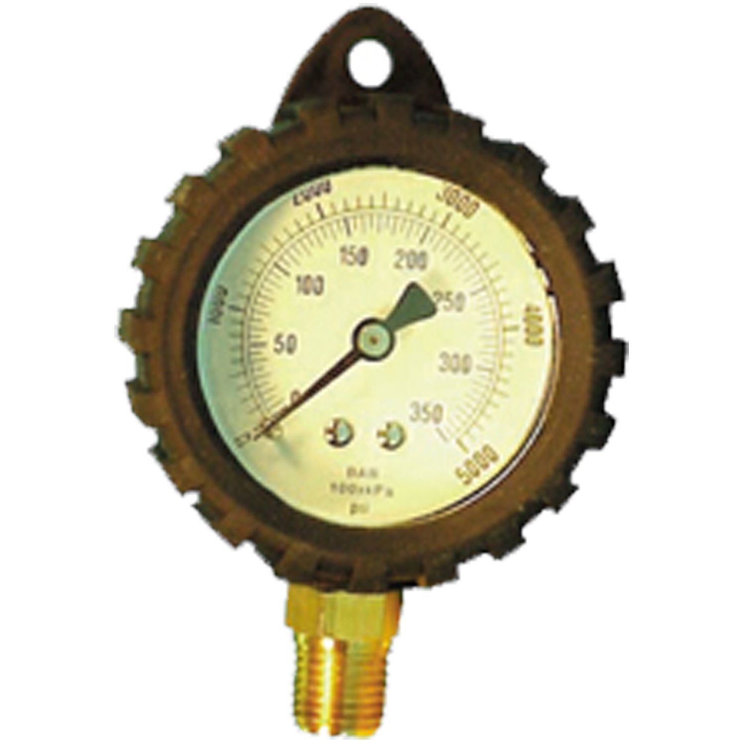 TRIDENT 5000 Psi Gauge 1/4 Npt