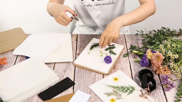Ulysse Presse à Fleurs Oiseau – Kit Pressage Fleurs Pour Enfants – Activité Créative Multicolore