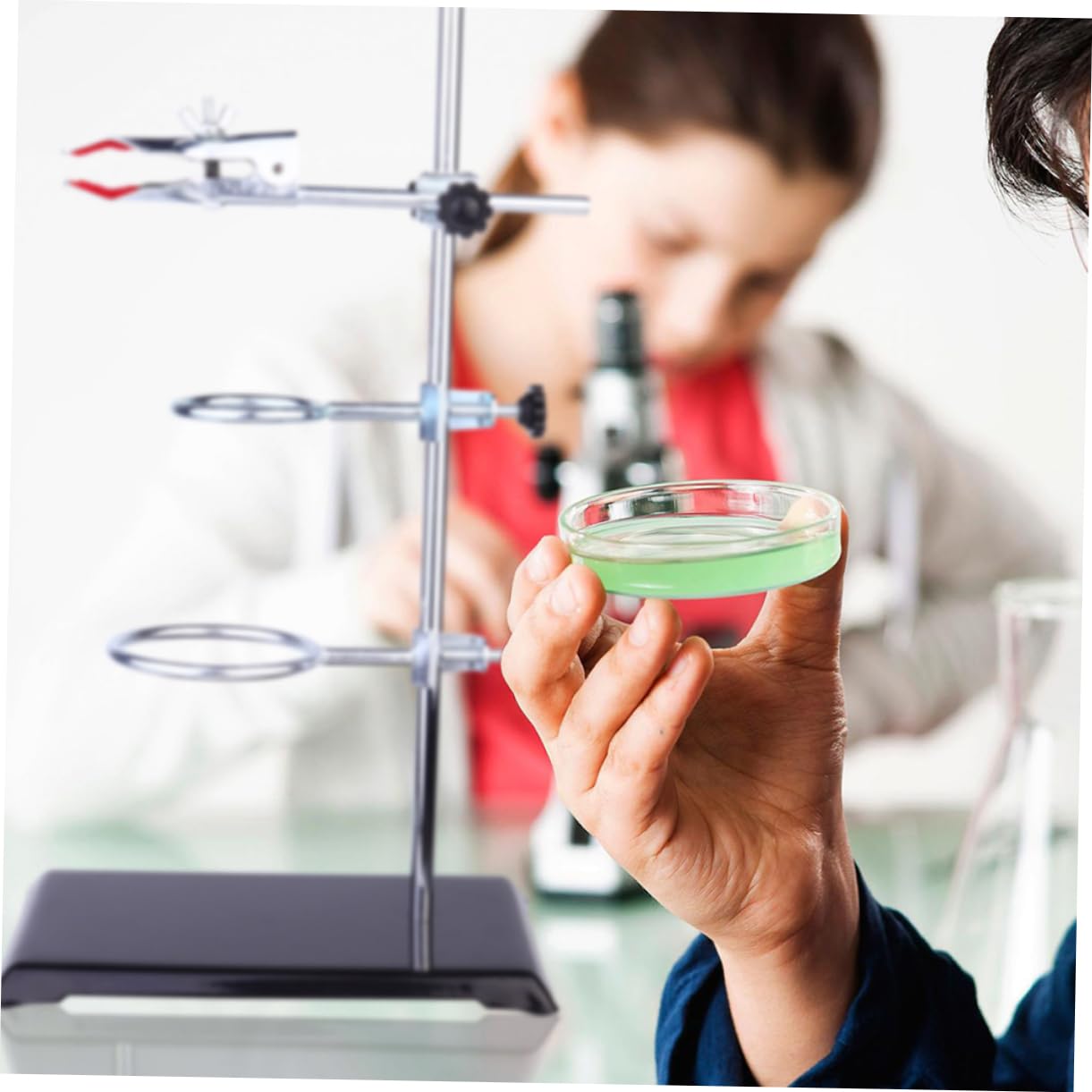 Alipis Support de Laboratoire avec Pinces Support Annulaire pour Matériel de Laboratoire