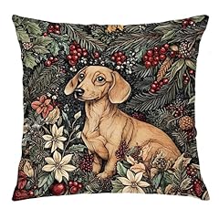 Dachshund