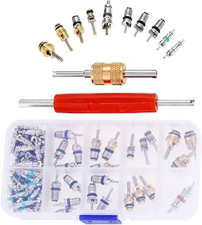 Mtsooning 102PCS Air Conditioning Valve Core Accessories Kit, AC R12 R134A Refrigeration Tire Valve Stem Cores & Removal Installer Tool, R134A Valve Kit for Car Air Contitionaing Repair